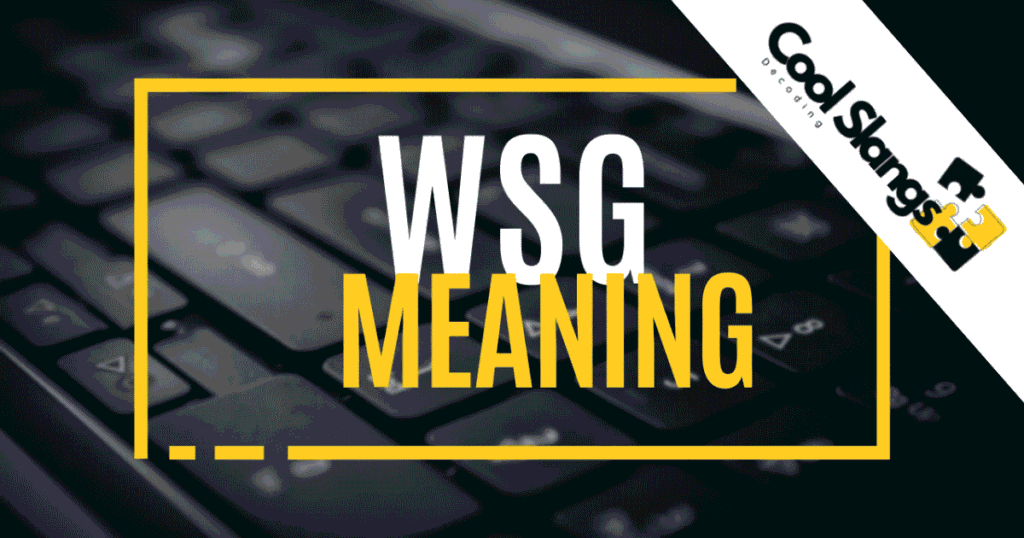 WSG Meaning in Text: Full 2026 Slang Guide