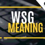 WSG Meaning in Text: Full 2026 Slang Guide